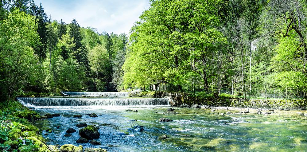Osteopathie verstehen