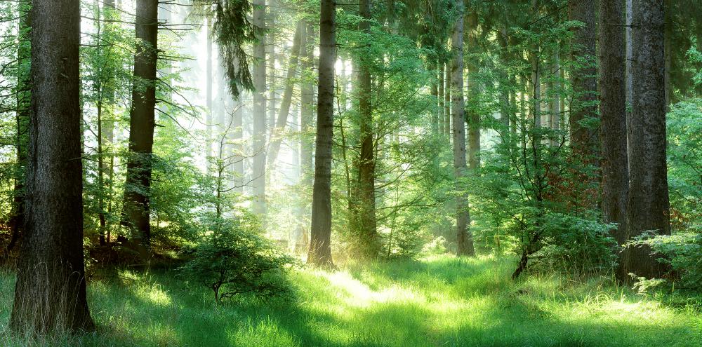 Osteopathie für Kinder